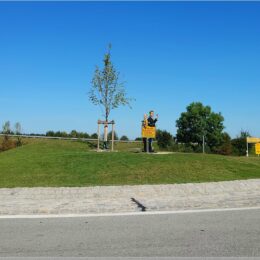Franz-Eberhofer-Kreisel