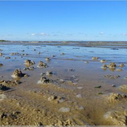 Wattenmeer