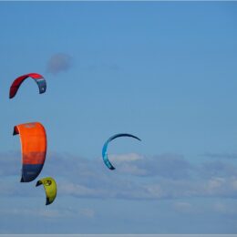 Kites