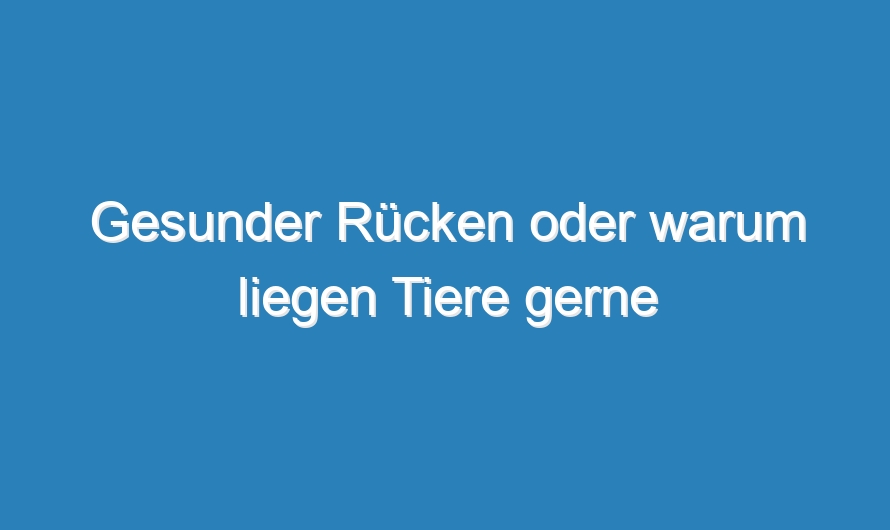Gesunder Rücken oder warum liegen Tiere gerne krumm und bequem