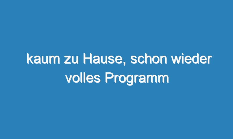 kaum zu Hause, schon wieder volles Programm