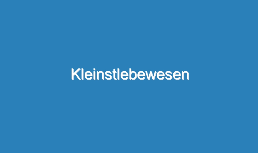 Kleinstlebewesen