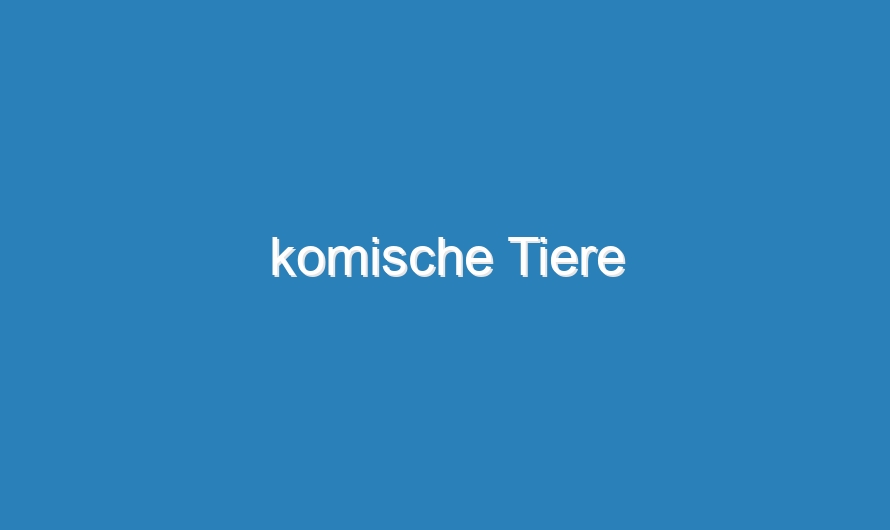 komische Tiere