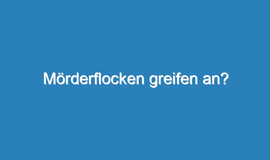 Mörderflocken greifen an?