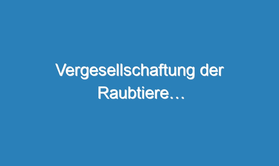 Vergesellschaftung der Raubtiere…