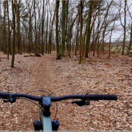 Erpetal, an der Grenze zu Brandenburg