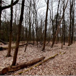 Erpetal, an der Grenze zu Brandenburg