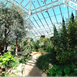 Edvard Anderson Konservatorium