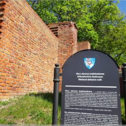 Mittelalterliche Stadtmauer