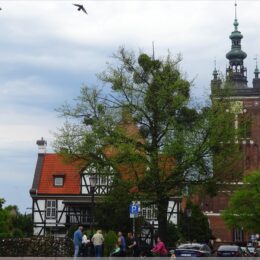Müllerhaus und Katharinenkirche