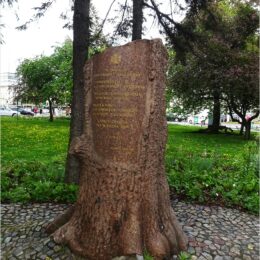 2025-05-02_16-23-29-DSC-WX350-DSC03479