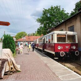 Die Bahn am Bahnsteig