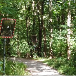 Spiegel entlang des Denkzeichenweges