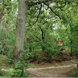 Mahnmal Ehemalige Wehrmachterschießungsstätte Ruhleben Murellenberg