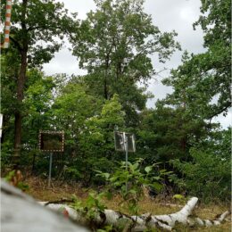 Mahnmal Ehemalige Wehrmachterschießungsstätte Ruhleben Murellenberg