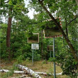 Mahnmal Ehemalige Wehrmachterschießungsstätte Ruhleben Murellenberg