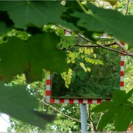 Mahnmal Ehemalige Wehrmachterschießungsstätte Ruhleben Murellenberg