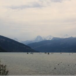 Blick über den Thunersee