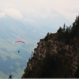 Paraglider