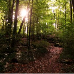 Wandern an der Verenaschlucht