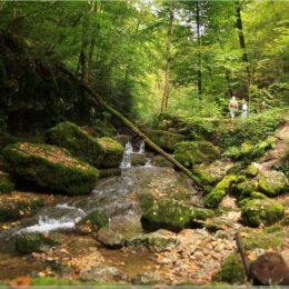 Wandern an der Verenaschlucht