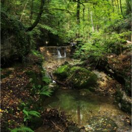 Wandern an der Verenaschlucht