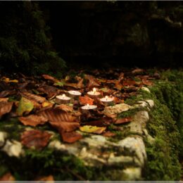 Wandern an der Verenaschlucht