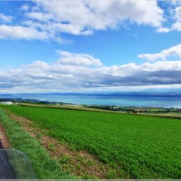 Blick auf den Neuenburgersee