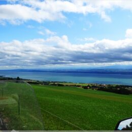 Blick auf den Neuenburgersee