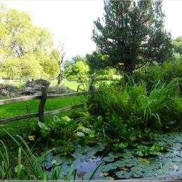 Botanischer Garten Genf