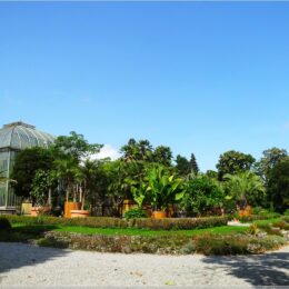 Botanischer Garten Genf