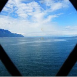 Blick auf den See