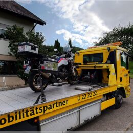 auf dem Schandwagen
