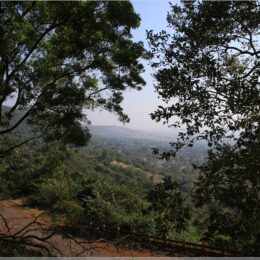 Blick vom Vaijnath Temple