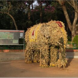 Elefant