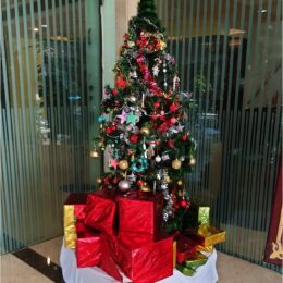 Weihnachtsbaum