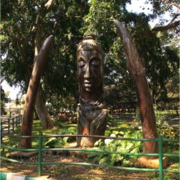 Botanischer Garten Bengaluru