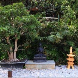 Bonsai
