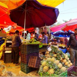 Sri Krishnarajendra Market