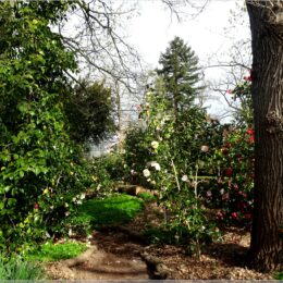 Duftgarten