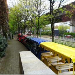 Kleinbahn im Rheinpark