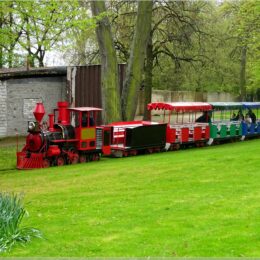 Kleinbahn im Rheinpark