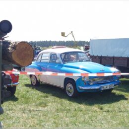 Wartbug 311