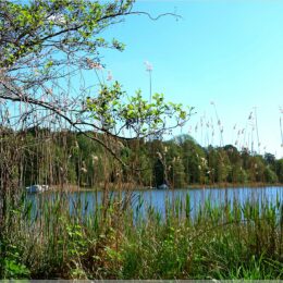 Templiner See
