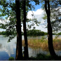 Templiner See