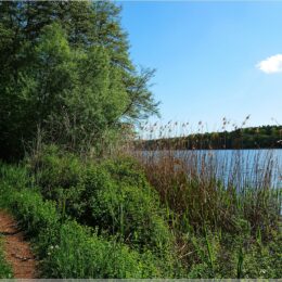 Templiner See