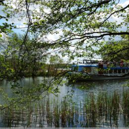 Der Dampfer im Gleuen Fließ