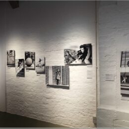 Viele Fotos