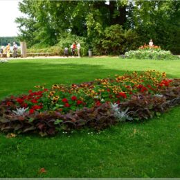 Blumen vor dem Schloss Pfaueninsel