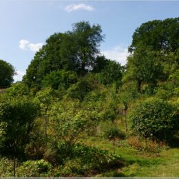 Rosengarten